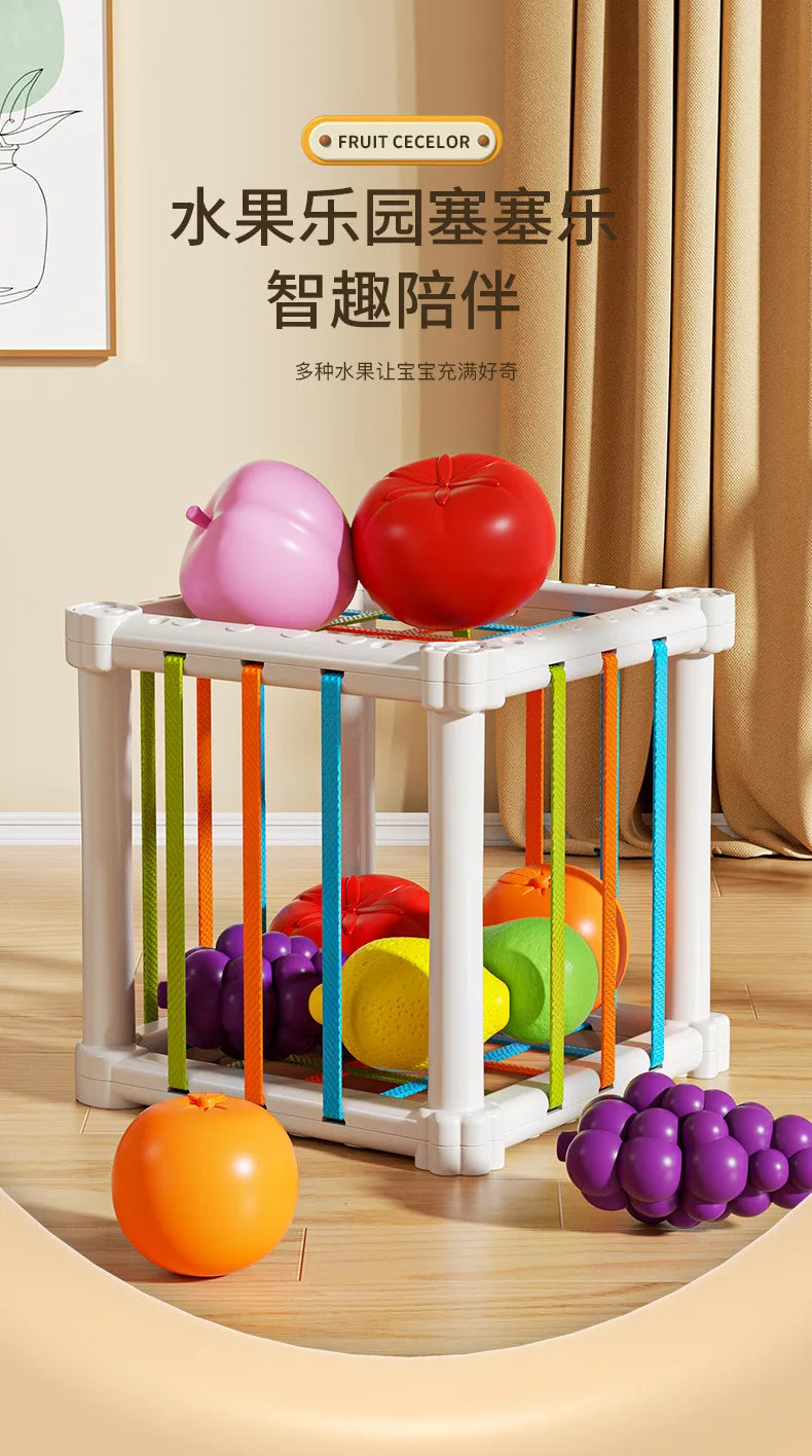 Montessori Shape Sorter Cube with Rainbow Blocks