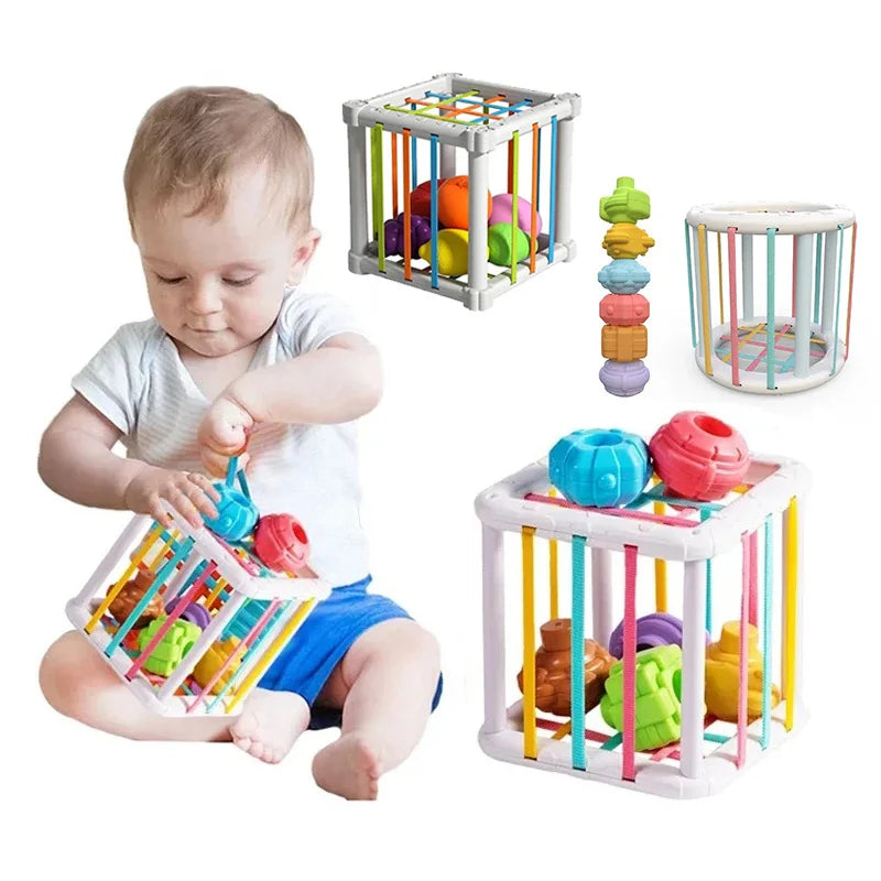 Montessori Shape Sorter Cube with Rainbow Blocks