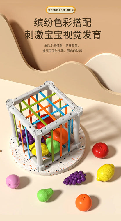 Montessori Shape Sorter Cube with Rainbow Blocks