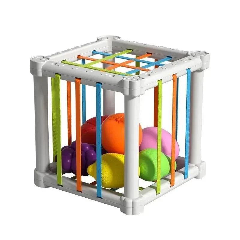 Montessori Shape Sorter Cube with Rainbow Blocks