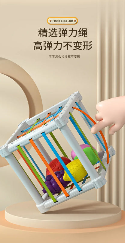 Montessori Shape Sorter Cube with Rainbow Blocks