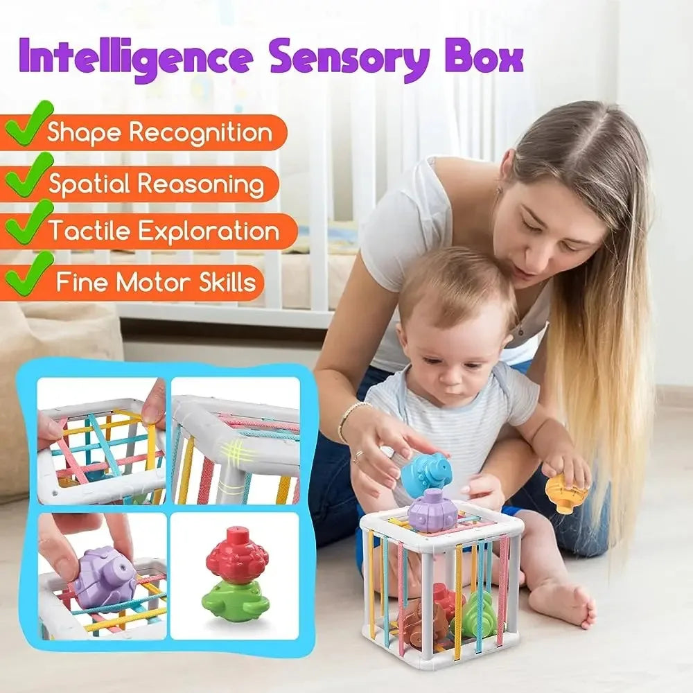 Montessori Shape Sorter Cube with Rainbow Blocks