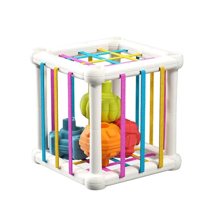 Montessori Shape Sorter Cube with Rainbow Blocks