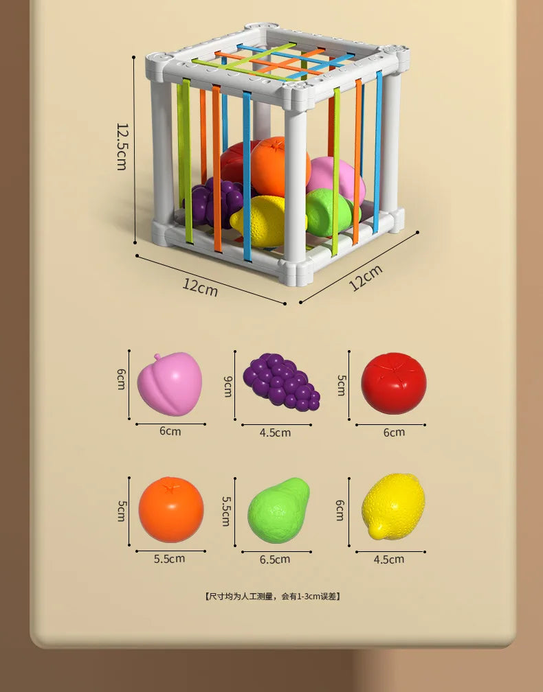 Montessori Shape Sorter Cube with Rainbow Blocks