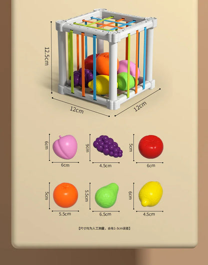 Montessori Shape Sorter Cube with Rainbow Blocks