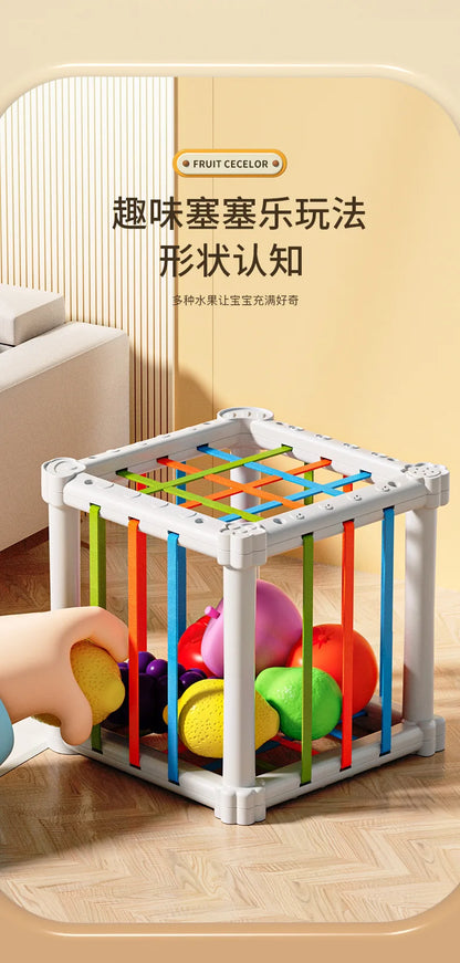 Montessori Shape Sorter Cube with Rainbow Blocks