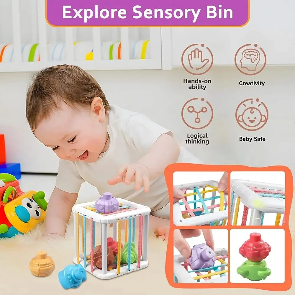 Montessori Shape Sorter Cube with Rainbow Blocks