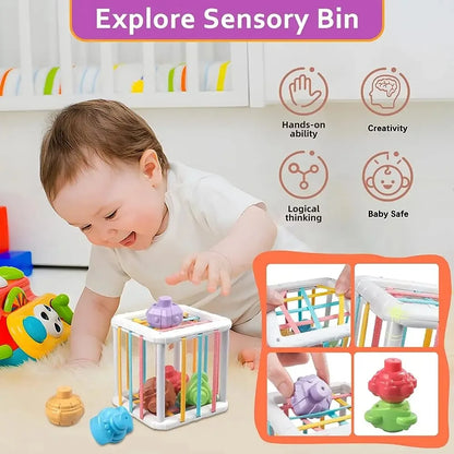 Montessori Shape Sorter Cube with Rainbow Blocks